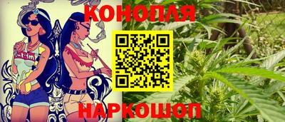 гашик Кулебаки