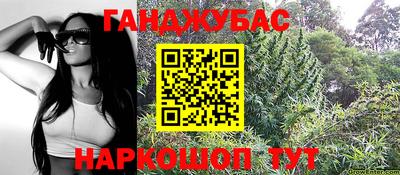 гашик Кулебаки