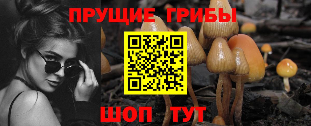 Псилоцибиновые грибы мицелий  сколько стоит  Псилоцибиновые грибы мухоморы  Грозный  Вход с VPN 
