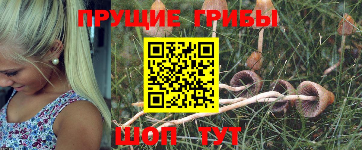 Псилоцибиновые грибы Magic Shrooms Грозный